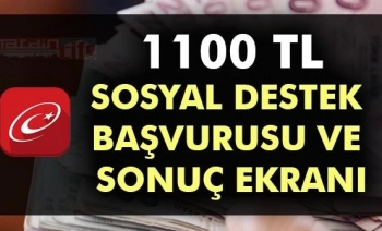 Pandemi Yardımı Nasıl Başvurulur? 1100TL Yardım Bana Çıktı mı?